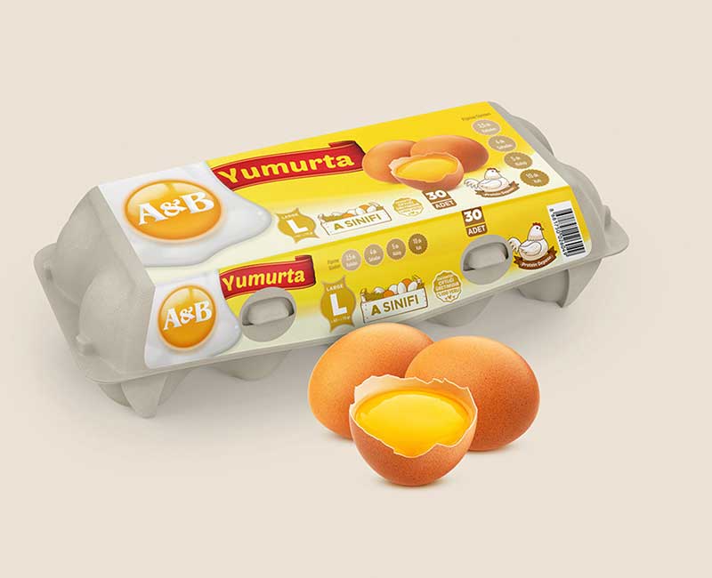 Egg Packaging Design